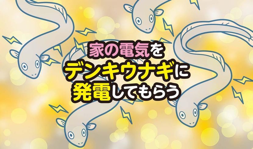 電気ウナギで発電】家の電気をまかなうには何匹のデンキウナギが必要